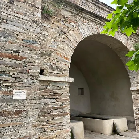 A Macina 브란도